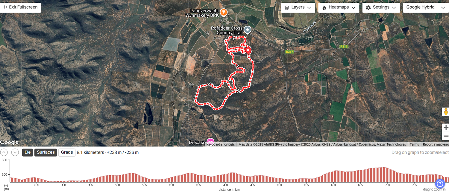 8 km “baby Pofadder”